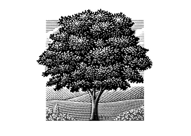 Tree Landscape
